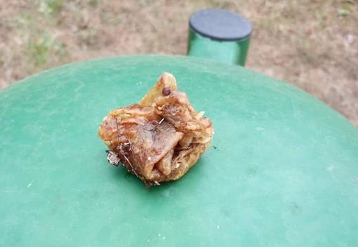 Bocconi di carne con spilli (foto di repertorio) Bocconi di carne con spilli (foto di repertorio)