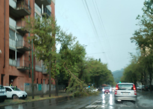 Emergenza maltempo in Piemonte, la Regione approva i primi interventi per i danni Emergenza maltempo in Piemonte, la Regione approva i primi interventi per i danni