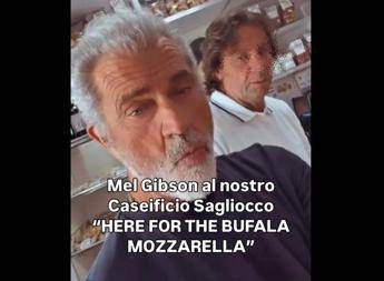 Mel Gibson nel casertano, l'attore pazzo per la mozzarella di bufala Mel Gibson nel casertano, l'attore pazzo per la mozzarella di bufala