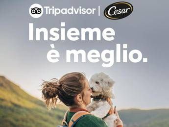 Vacanze, quasi la metà italiani rinuncia a viaggiare con il proprio cane Vacanze, quasi la metà italiani rinuncia a viaggiare con il proprio cane