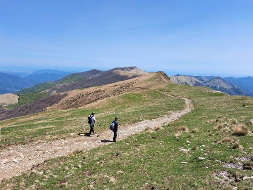 Nuova segnaletica per i sentieri del Parco Alpi Liguri: investimento per la valorizzazione e messa in sicurezza degli itinerari
