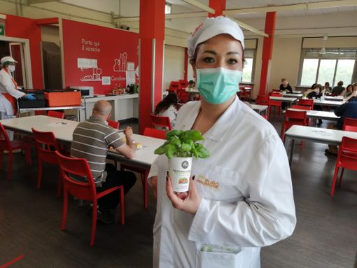 Cinquecento piantine di basilico per i dipendenti degli ospedali di Rivoli, Collegno, Susa e Pinerolo Cinquecento piantine di basilico per i dipendenti degli ospedali di Rivoli, Collegno, Susa e Pinerolo