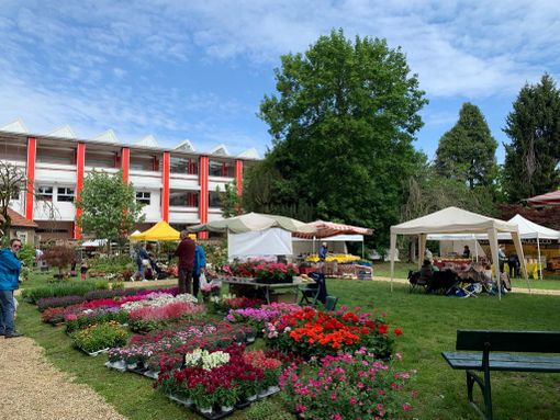 Fiori &amp; Vini 2023 a Carignano: mostra mercato