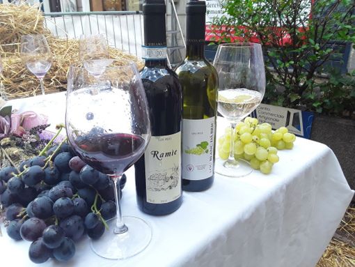 Diverse le proposte di Coldiretti presentate a Palazzo Chigi per sostenere il comparto