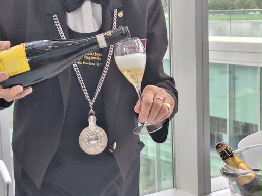 Vitivinicoltura in difficoltà: proposta la distillazione di crisi per salvare le Denominazioni Vitivinicoltura in difficoltà: proposta la distillazione di crisi per salvare le Denominazioni