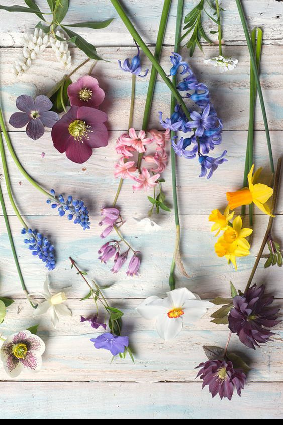 Alpignano, domenica 18 marzo torna la fiera primaverile per mantenere una promessa