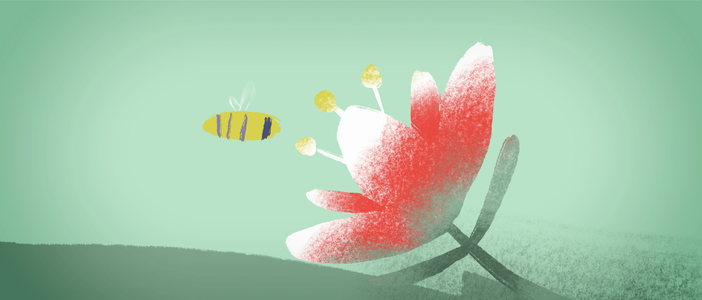 L'ultima Ape: ecco il cortometraggio su ambiente e rifiuti speciali realizzato da Baricalla