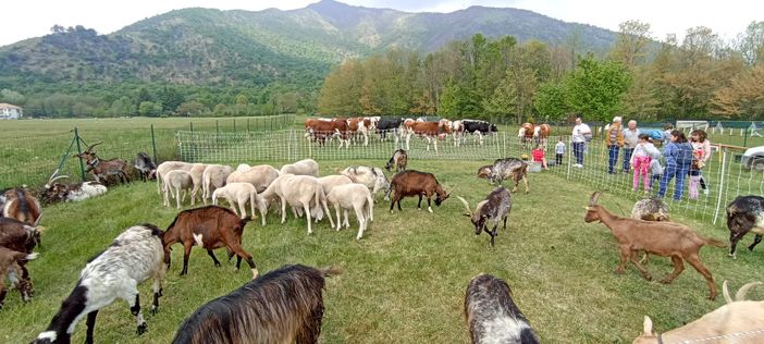 Fiera di San Giorgio a Caselette