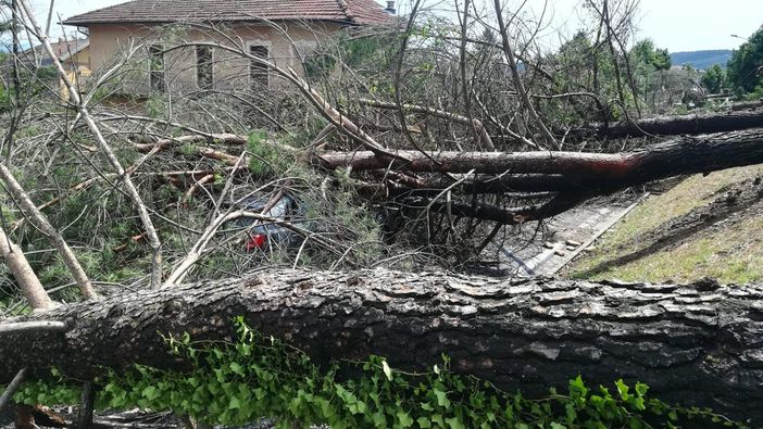 Immagine di repertorio