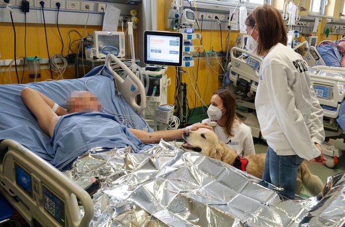 Animale che fa pet therapy in ospedale con un malato Animale che fa pet therapy in ospedale con un malato