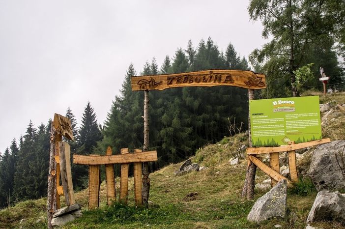 Il bosco della Trebulina Il bosco della Trebulina