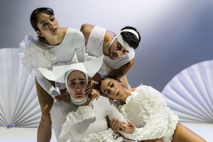 "Il gioco delle ombre" al centro di Palcoscenico Danza 2025 "Il gioco delle ombre" al centro di Palcoscenico Danza 2025