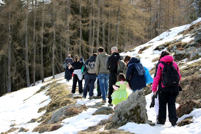 Pian munè: Giornata delle Foreste con Notturna nel bosco Pian munè: Giornata delle Foreste con Notturna nel bosco