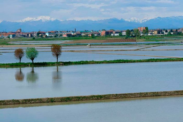 campo coltivato pieno d'acqua