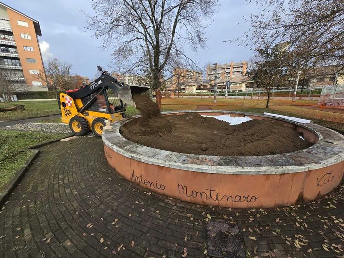 Un melograno in ricordo dei femminicidi al parco Falcone e Borsellino di Collegno