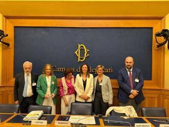 Cancro stomaco, 42mila vite salvate in 12 anni ma resta gap territoriale Cancro stomaco, 42mila vite salvate in 12 anni ma resta gap territoriale