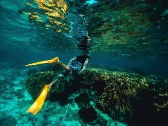 Italiani morti alle Maldive durante immersione, lo pneumologo: "Con concentrazioni elevate l’ossigeno diventa tossico"