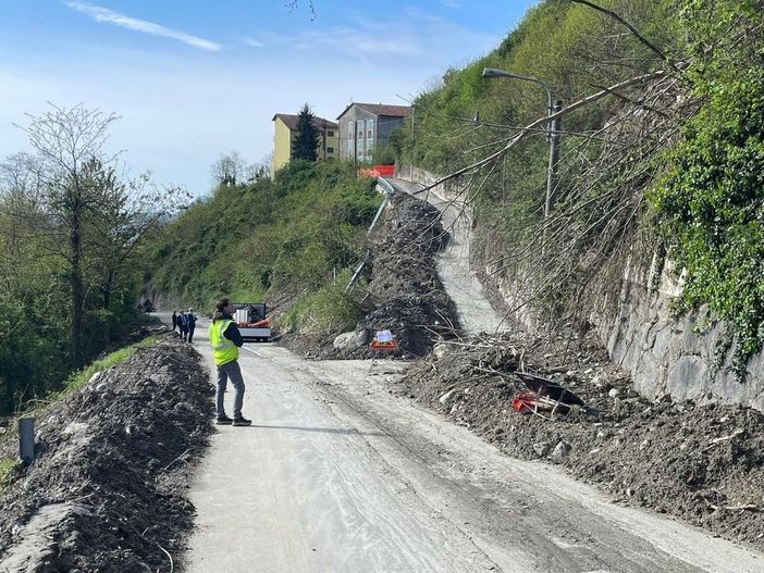 Boschi, fiumi e sentieri: il Piemonte vara il piano forestale da 312 operai per prevenire frane e alluvioni Boschi, fiumi e sentieri: il Piemonte vara il piano forestale da 312 operai per prevenire frane e alluvioni