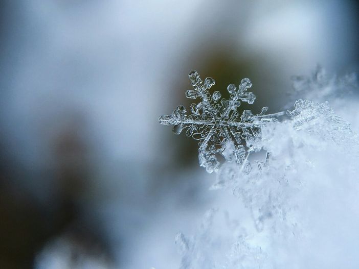 Foto di Aaron Burden - tramite Unsplash
