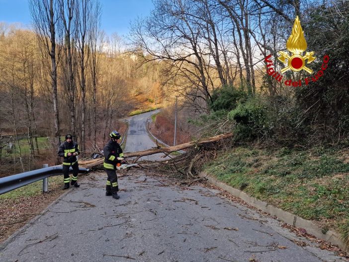 albero caduto e tetti scoperchiati