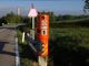 Torinesi incastrati dagli autovelox quando usano troppo l'acceleratore