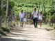 Turismo, UniCredit-Nomisma Wine Monitor: da quello del vino 3 miliardi di valore per cantine