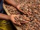 Alimenti, Icam presenta bilancio di sostenibilità 2025: la filiera del cacao che crea valore