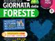 Pian Munè: Notturna per Famiglie per sensibilizzare al rispetto delle Foreste Pian Munè: Notturna per Famiglie per sensibilizzare al rispetto delle Foreste