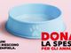 Sabato torna l'appuntamento con “Dona la Spesa per gli amici animali” Sabato torna l'appuntamento con “Dona la Spesa per gli amici animali”