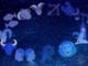 segni zodiacali segni zodiacali