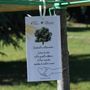 A Grugliasco c'è ancora tempo per "Dona un albero 2026"