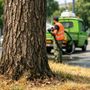 Collegno: irrigazioni straordinarie per proteggere il patrimonio verde