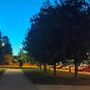 Vandalizzato il parco di Grugliasco dedicato a Falcone e Borsellino Vandalizzato il parco di Grugliasco dedicato a Falcone e Borsellino