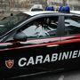 Rivoli, calci e pugni in un parco per un telefono: 14enne fermato e portato in carcere minorile Rivoli, calci e pugni in un parco per un telefono: 14enne fermato e portato in carcere minorile