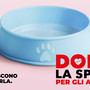 Sabato torna l'appuntamento con “Dona la Spesa per gli amici animali” Sabato torna l'appuntamento con “Dona la Spesa per gli amici animali”