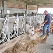 Dai cantieri, alle tavole, ai vaccini: i numeri della prevenzione in Piemonte Dai cantieri, alle tavole, ai vaccini: i numeri della prevenzione in Piemonte