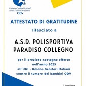La Polisportiva Paradiso Collegno premiata per l'impegno a favore dei bambini malati di cancro La Polisportiva Paradiso Collegno premiata per l'impegno a favore dei bambini malati di cancro