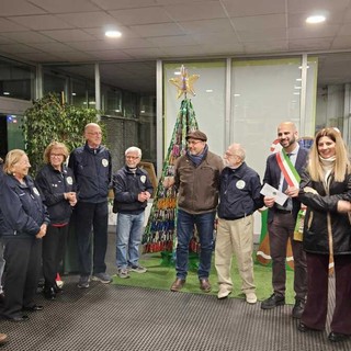Torna l'albero di Natale degli Ecovolontari di Collegno