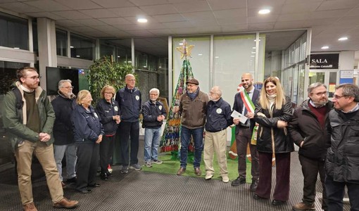Torna l'albero di Natale degli Ecovolontari di Collegno Torna l'albero di Natale degli Ecovolontari di Collegno