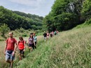 Rivoli si tinge di verde con due eventi immersivi nella natura