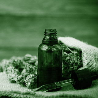 Cannabis light e cannabis tradizionale: cosa cambia davvero