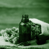 Cannabis light e cannabis tradizionale: cosa cambia davvero