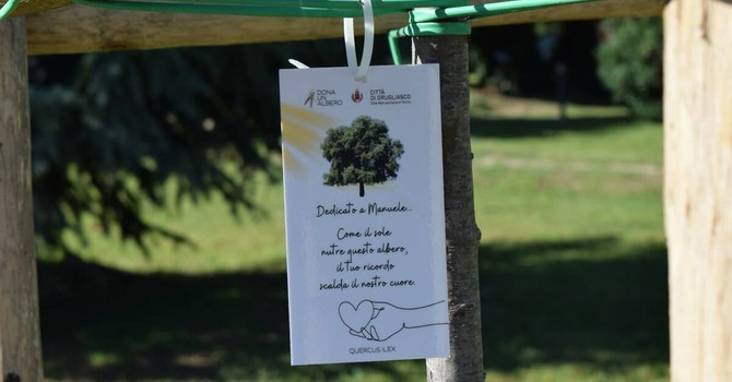 A Grugliasco c'è ancora tempo per "Dona un albero 2026"