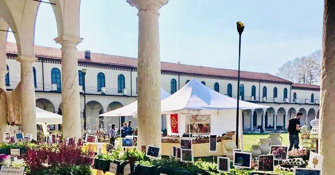 Follia in Fiore dà il benvenuto alla Primavera a Collegno Follia in Fiore dà il benvenuto alla Primavera a Collegno