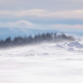 Foto di Ghenadie Cebanu (tramite Unsplash) Foto di Ghenadie Cebanu (tramite Unsplash)