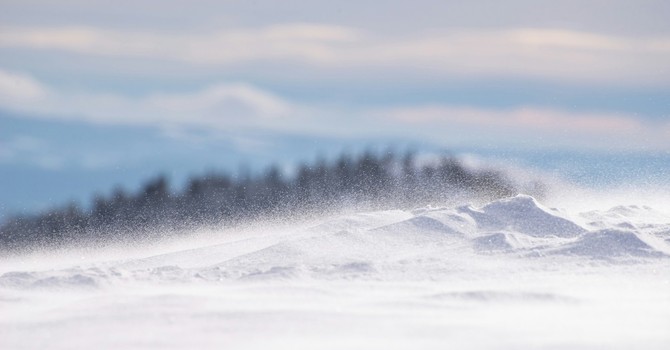 Foto di Ghenadie Cebanu (tramite Unsplash) Foto di Ghenadie Cebanu (tramite Unsplash)
