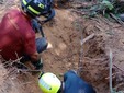 Il salvataggio dei due cagnolini Il salvataggio dei due cagnolini