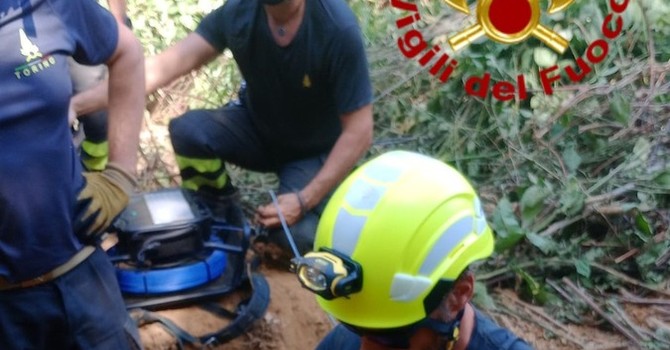 Il salvataggio dei due cagnolini