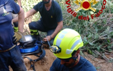Il salvataggio dei due cagnolini