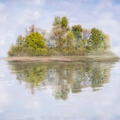 “Metamorphoseon”, alla Casa del Conte Verde un viaggio tra arte e natura